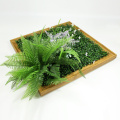 Designer home decor indoor frame green wall with foliage